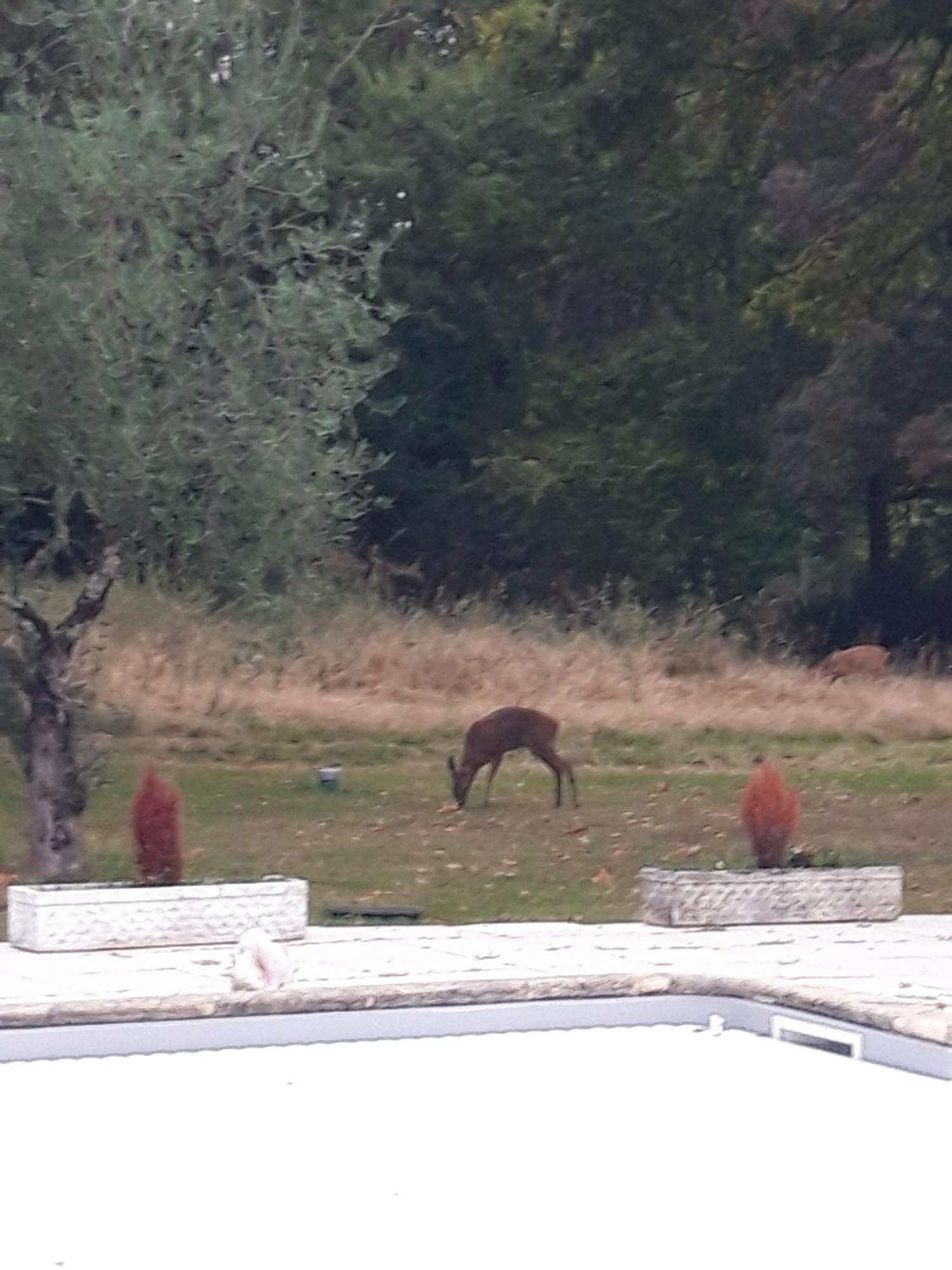 Domaine Fontcouverte Otel Fontcouverte  Dış mekan fotoğraf