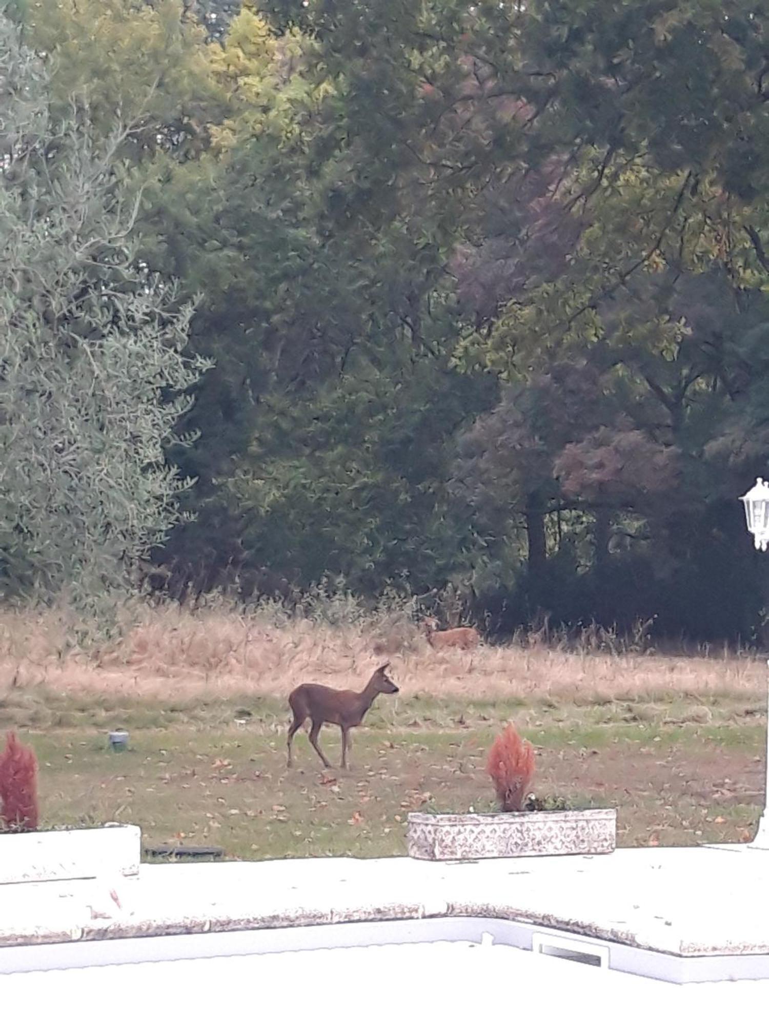 Domaine Fontcouverte Otel Fontcouverte  Dış mekan fotoğraf